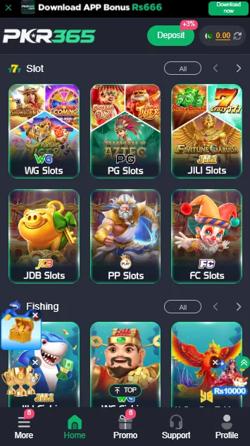 PKR365 Game Interface