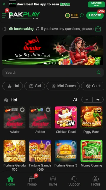 PAKPLAY Game Interface