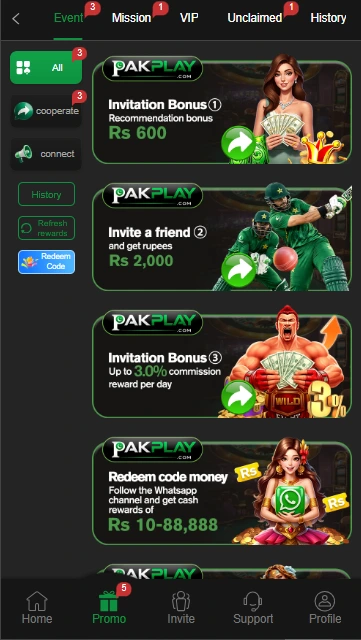 PAKPLAY Game Promotion