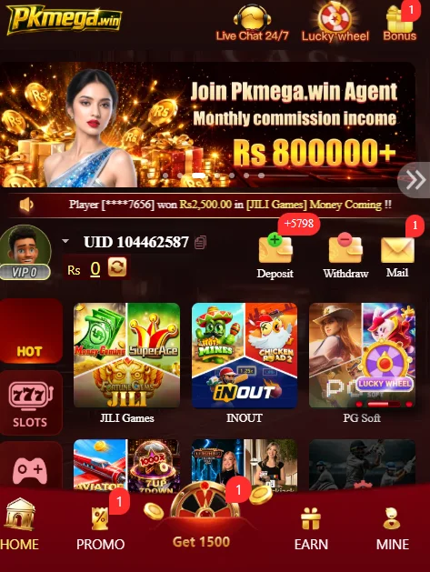 PKMega Game Interface