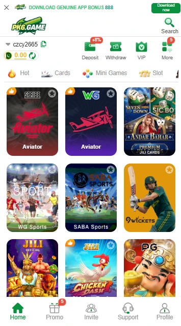 PK6 Game Interface