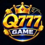 Q777 Game